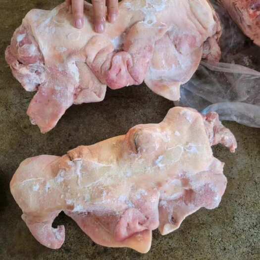 东莞市肥猪生敲带耳带核桃肉猪头肉