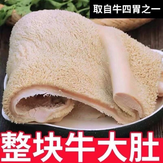 新鲜全熟商用牛大肚  家用熟牛肚  全熟金钱肚