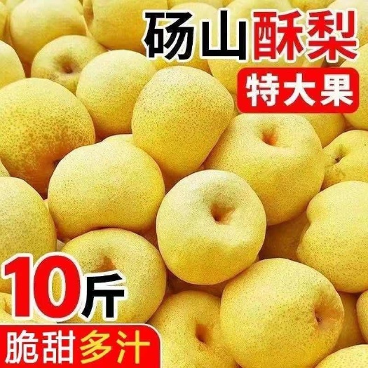 安徽砀山酥梨皮薄脆甜当季新鲜梨子水果5/10/1批发
