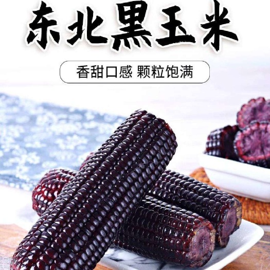 东北黑黏苞米黄黏苞米白黏苞米真空包装团购一件代发