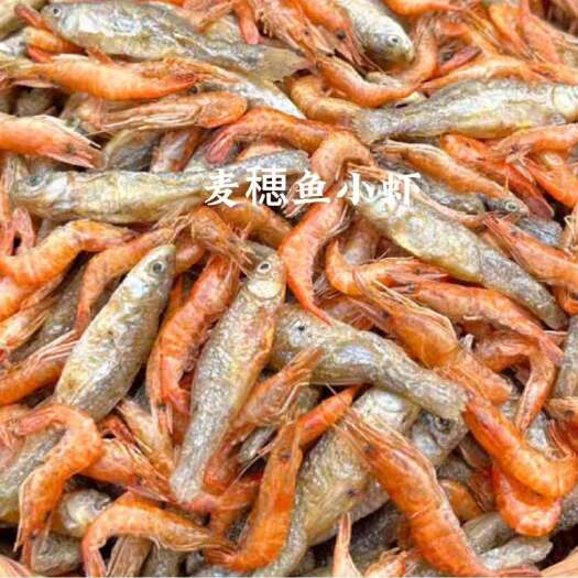 衡东县小鱼小虾，湖南特产生态小鱼小虾