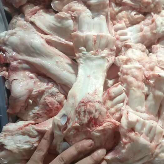 阳信县国产生牛蹄主筋，大公牛牛蹄筋