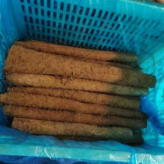 大名县河北铁杆山药赶集货优惠多多