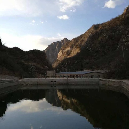 关于山地及厂房的出租