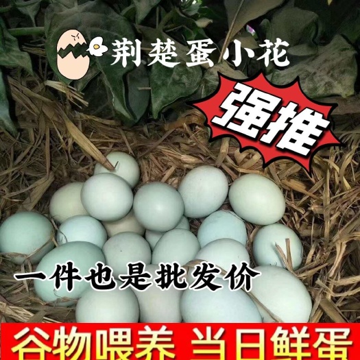 钟祥市绿壳蛋 乌鸡蛋 现捡现发，破损包赔