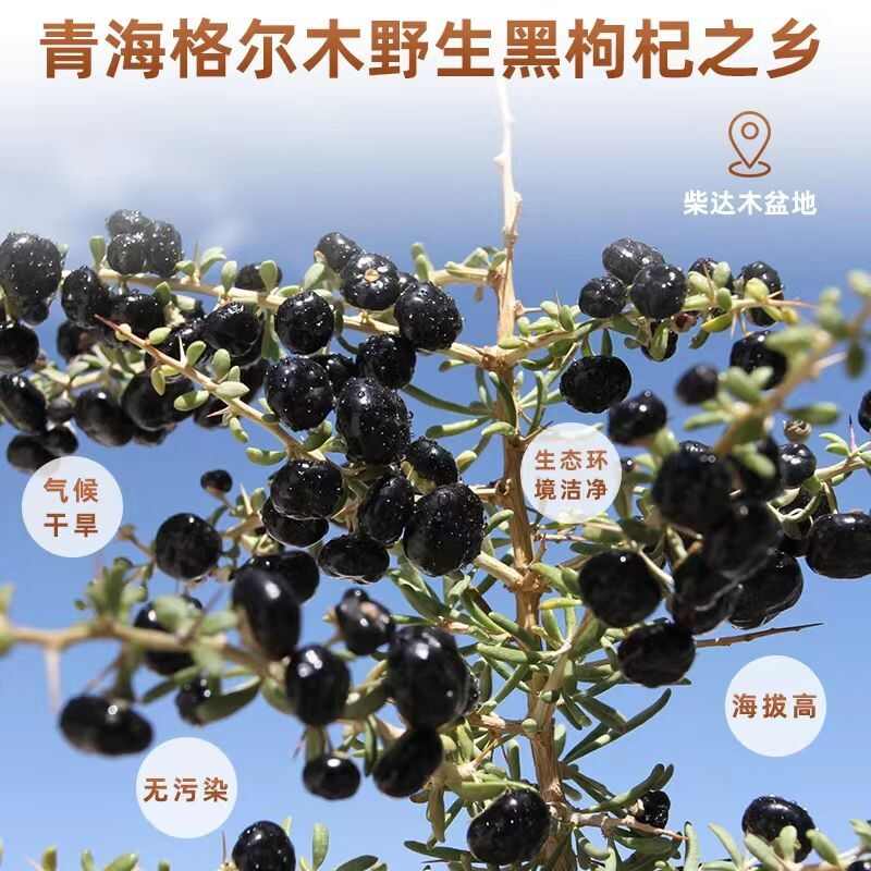 【青海发货】诺木洪草原头茬黑枸杞无硫黑枸杞手选货包邮