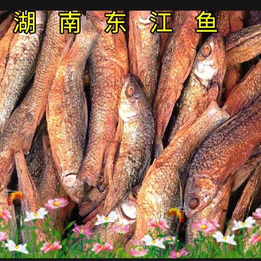 衡东县东江鱼，淡水小鱼干湖南特产叼子鱼柴火鱼干24年火焙鱼干
