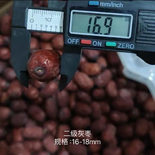 鄄城县源头直供，新疆灰枣，质优价廉