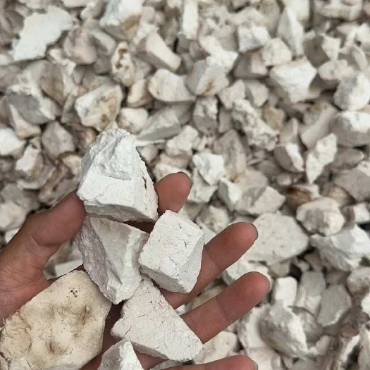 昆明云南白茯苓乱坨茯苓坨无硫茯苓白坨大货批发茯苓坨茯苓中药材批发