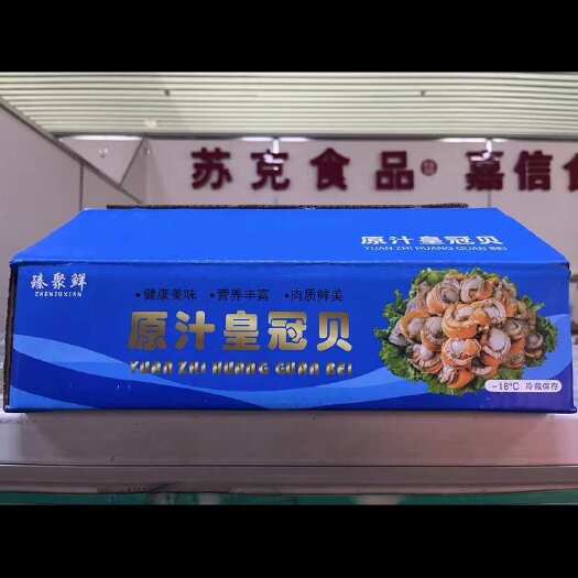 济南扇贝肉