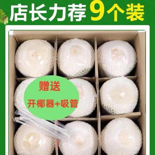 琼海市椰子