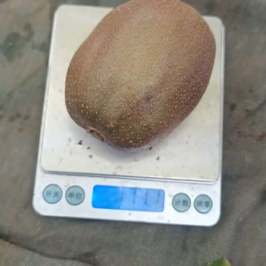 淄博淄博碧玉猕猴桃
