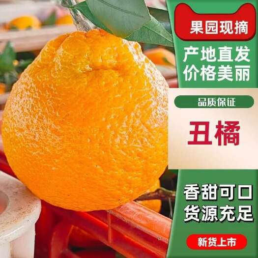 丑橘大量上市中 果肉细嫩 水分足 口感纯甜的欢迎订购