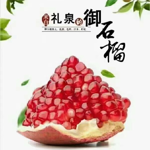 礼泉县甜石榴