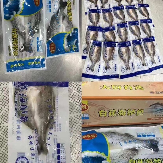 开背海鲈鱼