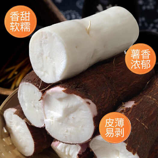 北流市广西特产面包木薯新鲜现挖红皮白肉木薯粗粮木薯批发