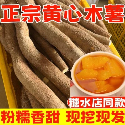 北流市现货广西特产黄心木薯新鲜现挖黄肉面包木薯羹糖水店板栗木薯批发