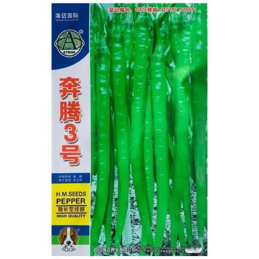 沭阳县海迈奔腾3号 辣椒种子早熟长线椒条形顺直香辣味浓高产基地大田