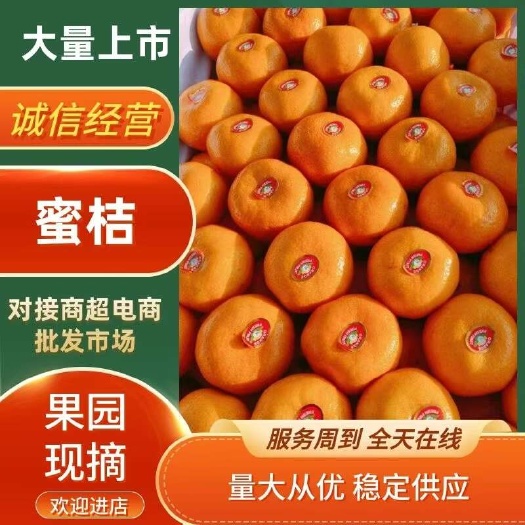 云南高山蜜橘 口感甜 入口化渣 皮薄多汁欢迎订购