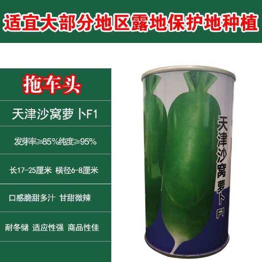 天津里外青萝卜种子农家菜园大棚春夏秋四季播种里外青水果萝卜