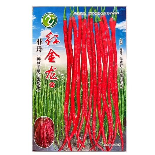 红金龙鲜红干细长型线椒种子中早熟香辣高产皮薄抗性强干椒油性大