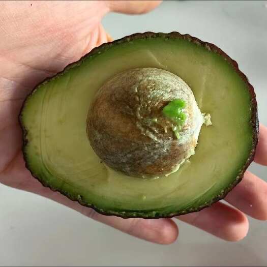 孟连县源头发货保证质量