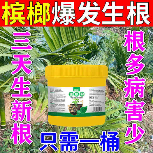 栾川县爆发生根】槟榔快速生根剂海南槟榔生根粉槟榔发根壮苗防根腐烂根