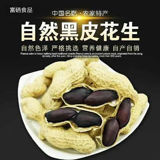 遵化市20249月采收新货富硒黑花生产地直供精品果