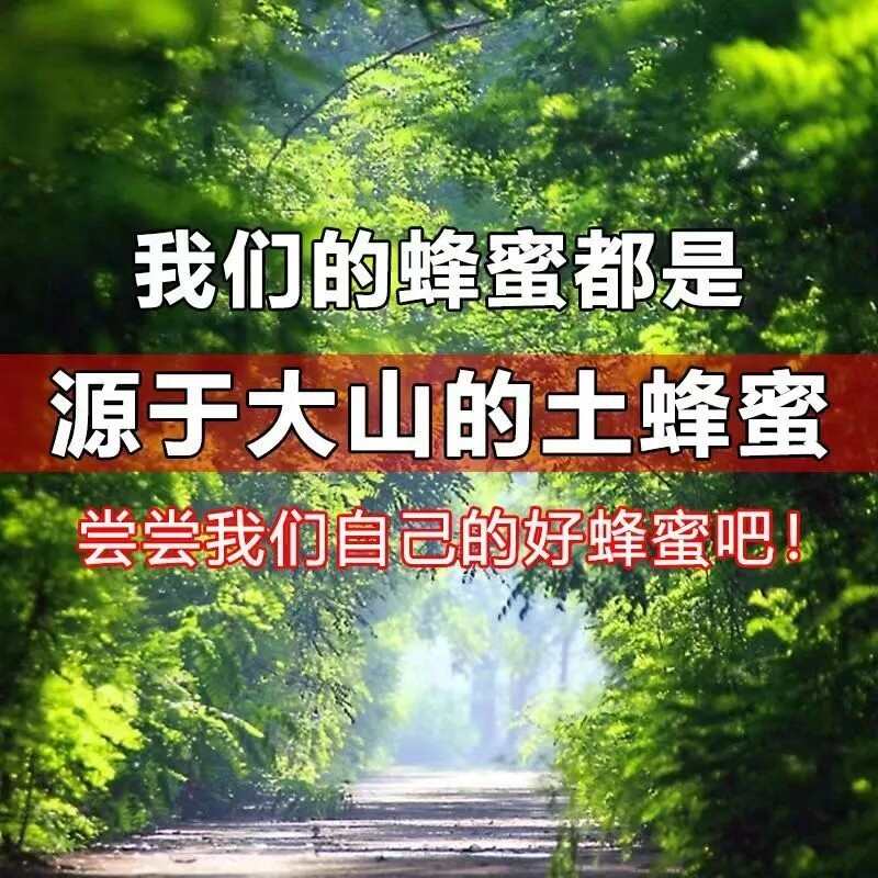 秦岭百花蜜野生放养土蜂蜜