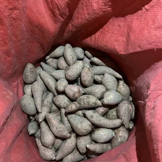 阳西县爆皮王