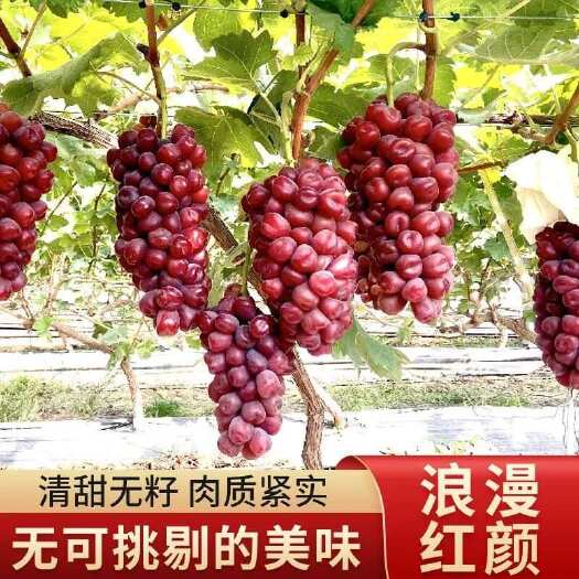 浪漫红颜