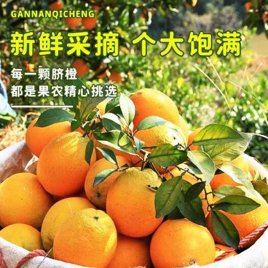 寻乌县一件代发 赣南脐橙。批发