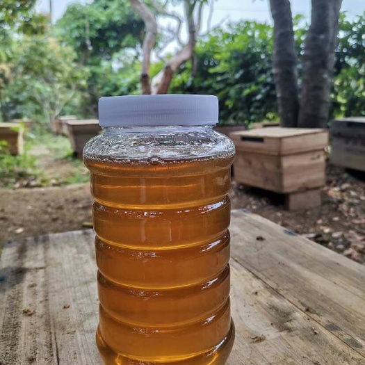 新郑市新郑土蜂蜜天然滋养2至3个月保质期农家自产健康食品