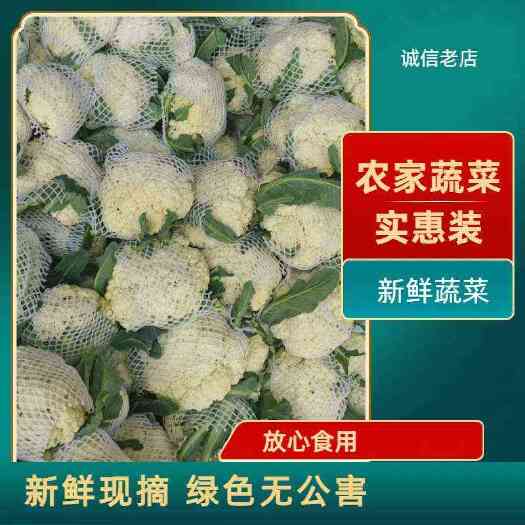 聊城花菜