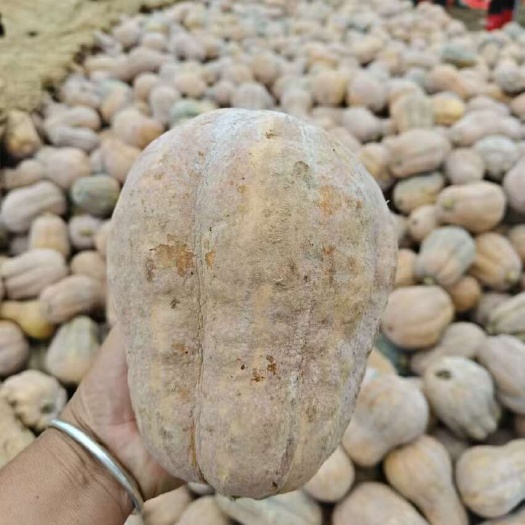 金香花生小南瓜 軟糯香甜美味可口！