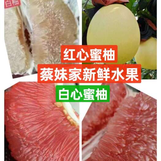 红心柚白心柚蜜柚万亩基地主打电商超市社团供应链市场销售