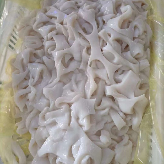 汕头鱿鱼肉原料 鱿鱼碎肉 秘鲁鱿鱼原料 肉糜打浆工厂