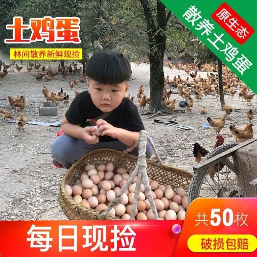 武汉湖北武汉直发新鲜土鸡蛋可开发票品质农家蛋
