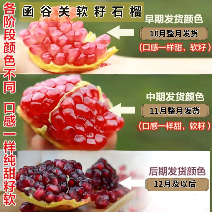 突尼斯软籽石榴河南灵宝市无籽甜石榴 籽软纯甜