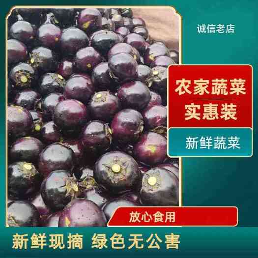 聊城聊城精品圆茄
