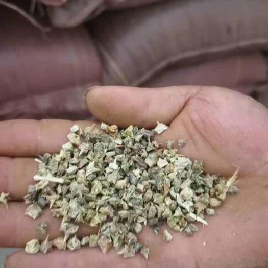 开鲁县产地直发蒺藜