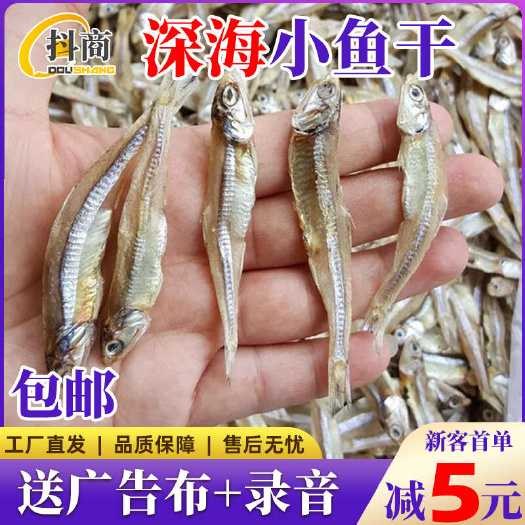 北海鱼干干货小鱼干批发跑江湖地摊热卖产品海鲜散装摆地摊货源白帆鱼