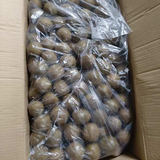 南宁罗汉果 规格够大够好现货有需要大量少量都可以