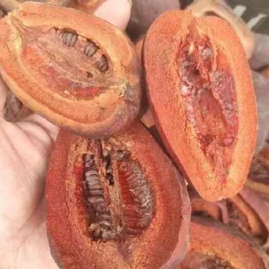 光皮木瓜药用 光皮木瓜 木瓜 中药