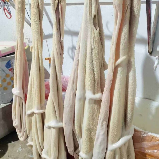 广东飞水牛肚 禽畜肉蛋 广东汕头直销