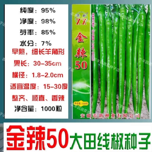 沭阳县金辣50辣椒种子特长线椒种子早熟丰产抗病羊角型线椒种籽线椒种