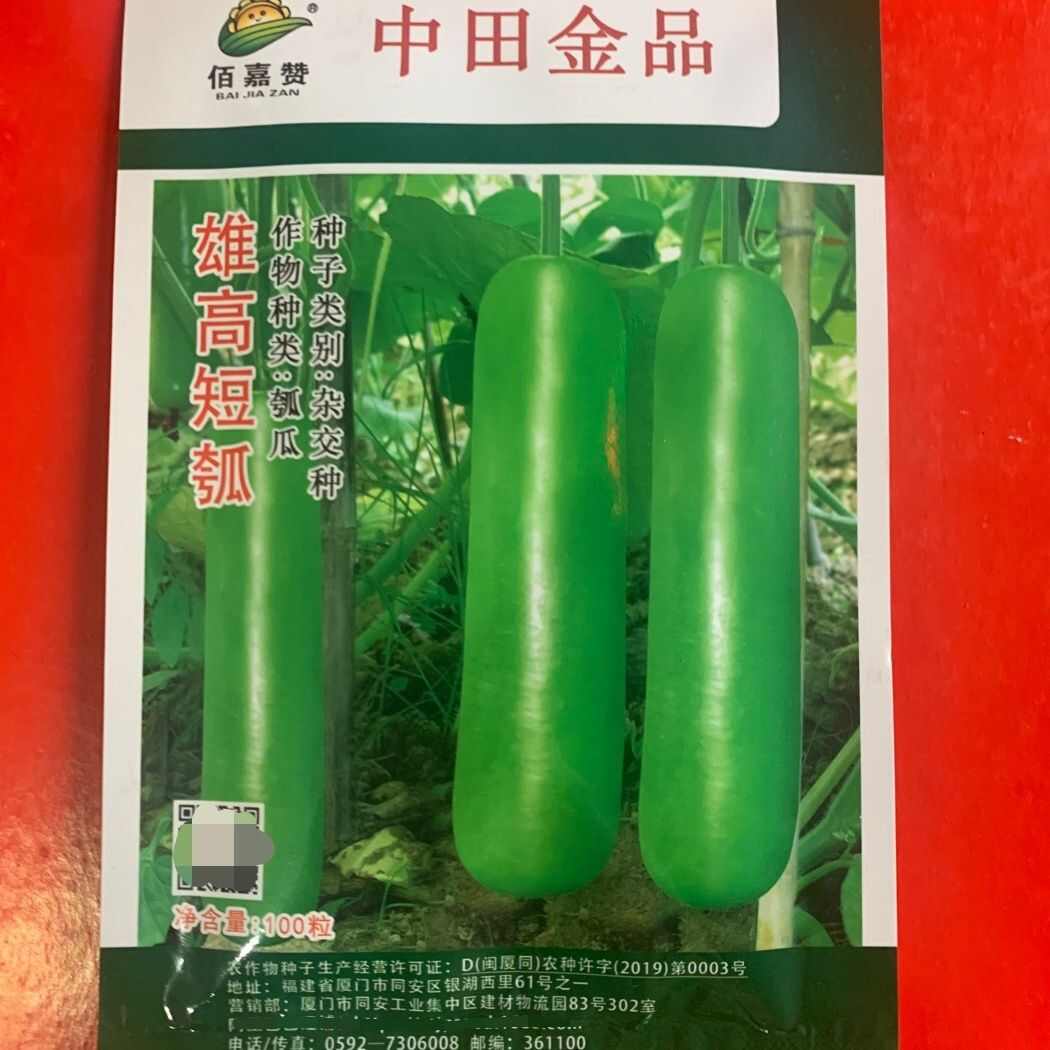 中田金品雄高短瓠瓠瓜种子，100粒