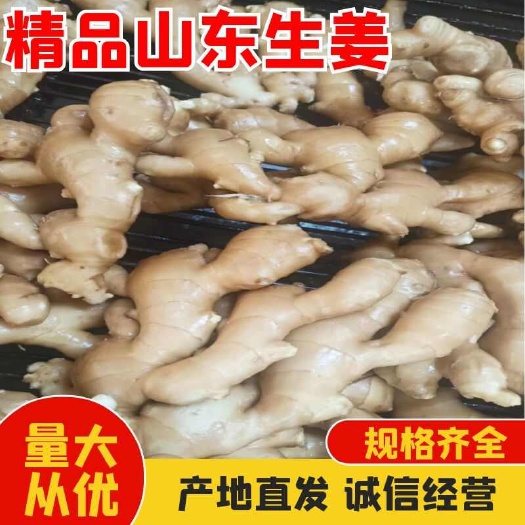 生姜色泽鲜亮，辣味十足，保存时间长等优点长年销往全国各地