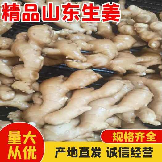 济南生姜色泽鲜亮，辣味十足，保存时间长等优点长年销往全国各地