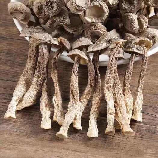 临沭县精品鹿茸菇鲜货 厂家供货  长年供应 团购 批发 电商供货！